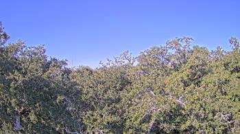 Weather camera view of Metairie Club Gardens.