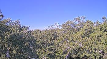 Weather camera view of Metairie Club Gardens.