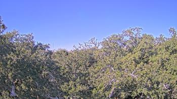 Weather camera view of Metairie Club Gardens.