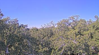 Weather camera view of Metairie Club Gardens.