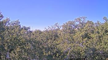 Weather camera view of Metairie Club Gardens.
