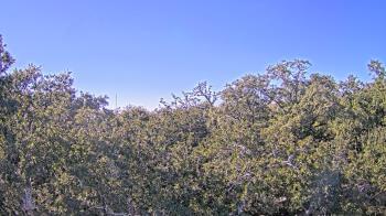 Weather camera view of Metairie Club Gardens.