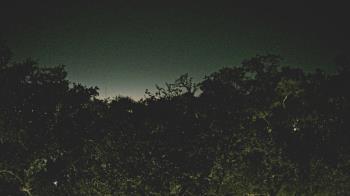 Weather camera view of Metairie Club Gardens.