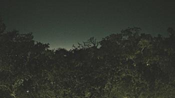 Weather camera view of Metairie Club Gardens.