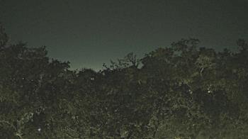 Weather camera view of Metairie Club Gardens.