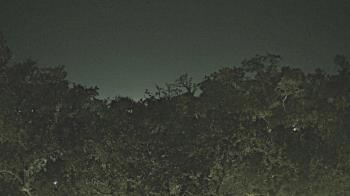 Weather camera view of Metairie Club Gardens.