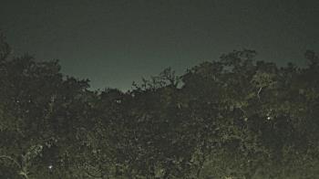 Weather camera view of Metairie Club Gardens.