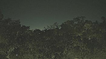 Weather camera view of Metairie Club Gardens.