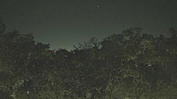 Weather camera view of Metairie Club Gardens.