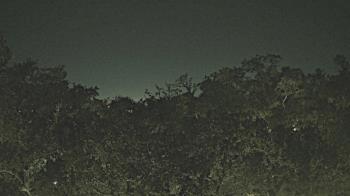 Weather camera view of Metairie Club Gardens.