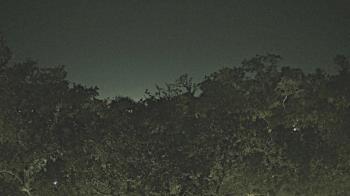 Weather camera view of Metairie Club Gardens.