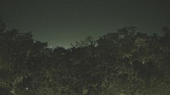 Weather camera view of Metairie Club Gardens.