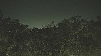 Weather camera view of Metairie Club Gardens.