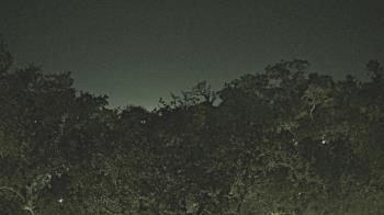 Weather camera view of Metairie Club Gardens.