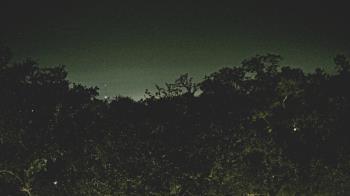 Weather camera view of Metairie Club Gardens.