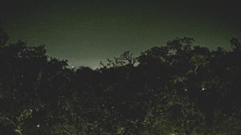 Weather camera view of Metairie Club Gardens.