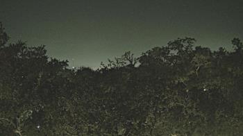 Weather camera view of Metairie Club Gardens.