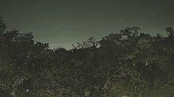 Weather camera view of Metairie Club Gardens.