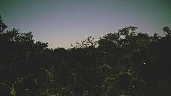 Weather camera view of Metairie Club Gardens.