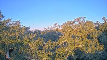 Weather camera view of Metairie Club Gardens.