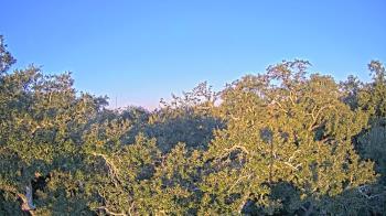 Weather camera view of Metairie Club Gardens.
