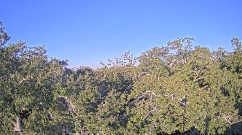 Weather camera view of Metairie Club Gardens.
