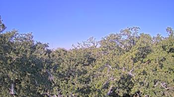 Weather camera view of Metairie Club Gardens.