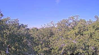 Weather camera view of Metairie Club Gardens.