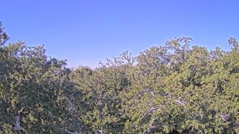 Weather camera view of Metairie Club Gardens.