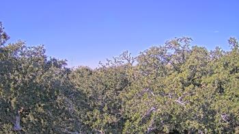 Weather camera view of Metairie Club Gardens.