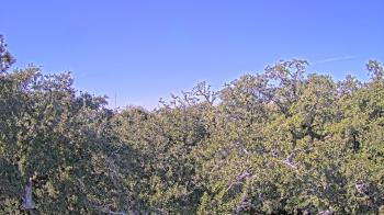 Weather camera view of Metairie Club Gardens.