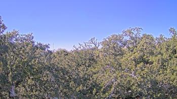 Weather camera view of Metairie Club Gardens.