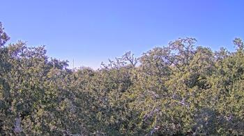 Weather camera view of Metairie Club Gardens.