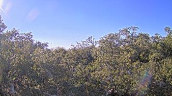 Weather camera view of Metairie Club Gardens.