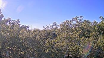 Weather camera view of Metairie Club Gardens.