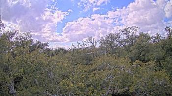 Weather camera view of Metairie Club Gardens.