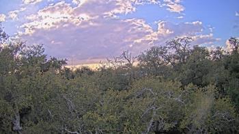 Weather camera view of Metairie Club Gardens.
