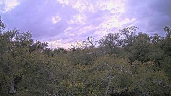 Weather camera view of Metairie Club Gardens.