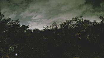 Weather camera view of Metairie Club Gardens.