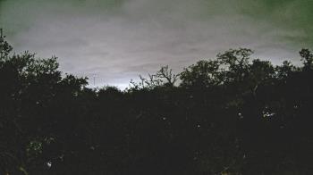 Weather camera view of Metairie Club Gardens.