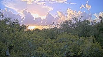 Weather camera view of Metairie Club Gardens.