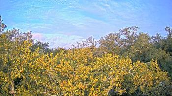 Weather camera view of Metairie Club Gardens.