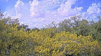 Weather camera view of Metairie Club Gardens.