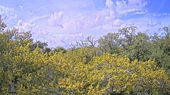 Weather camera view of Metairie Club Gardens.