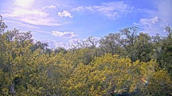 Weather camera view of Metairie Club Gardens.