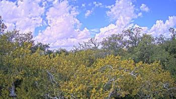 Weather camera view of Metairie Club Gardens.