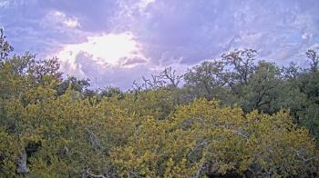Weather camera view of Metairie Club Gardens.