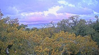 Weather camera view of Metairie Club Gardens.