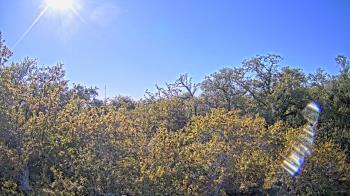 Weather camera view of Metairie Club Gardens.
