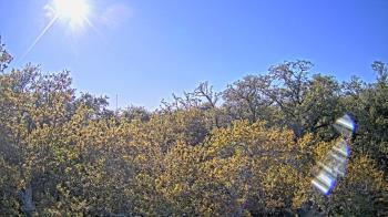 Weather camera view of Metairie Club Gardens.